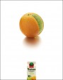Steve Wioland: Tropicana Orange Lime