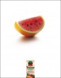 Steve Wioland: Tropicana Orange Watermelon
