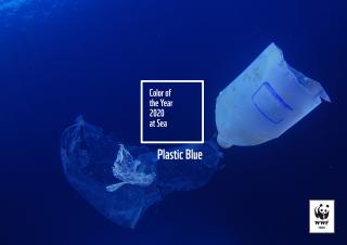 WWF-Türkiye: Plastic Blue - 2