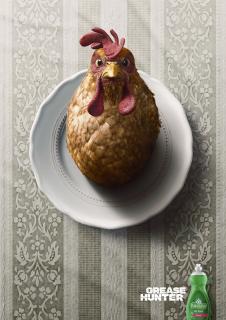 Palmolive Dishwasher: Chicken
