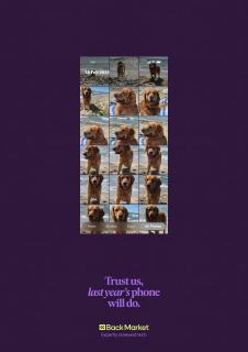 Back Market: Camera Roll - Dog