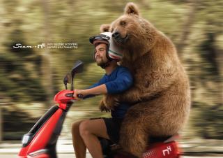 Siam: GRATEFUL (Bear)