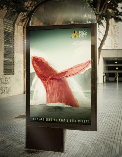 RESPET: They are erasing what little is left. RESPET. For the fight animal life.