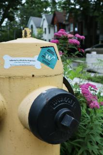 Wilder Harrier: Community Pet Pantries, Fire Hydrant