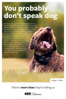 Visit Canberra: More than they're telling us - Truffles