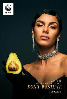 WWF: THE TRUE COST OF FOOD - AVOCADO
