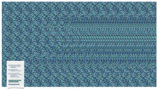 Providencia Sugar: Nature Stereogram - The Hawksbill Turtle