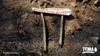 Tema: Do not throw cigarettes on the ground