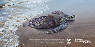 Thomas Cook: Deflatables