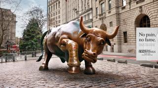 New York Festivals Health: Bull
