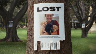 Sophie’s Legacy: LOST