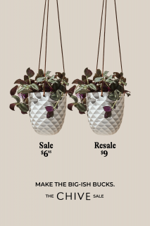 Chive Sale: Big-ish bucks