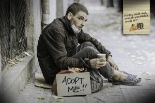 RES PET: Adopt me