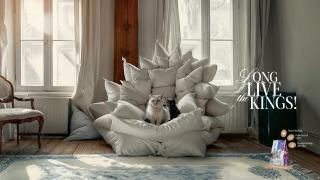 Nutritec Cat: KINGS - REINGS NUTRITEC