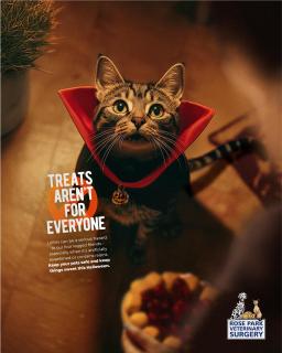 Rose Park Vet Clinic: Treats aren’t for everyone