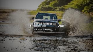 Jeep Renegade: Area